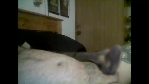 jerkmate6666 online show from September 16, 11:50 pm