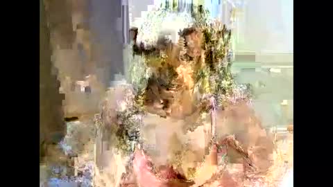 jessajoyy online show from February 1, 4:11 pm