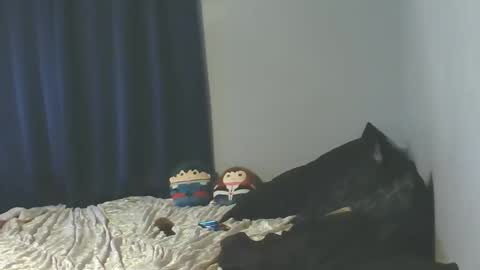 Sissy Jessica online show from January 8, 6:05 am