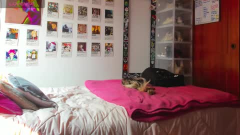 Your Sweet Angel online show from February 12, 7:09 pm