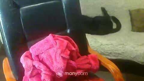 jessjess4you online show from February 2, 6:04 am