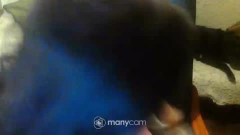 jessjess4you online show from February 15, 11:47 pm