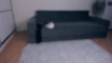 Snapshot of jessrubatte chatting on November 25, 7:52 am NEW VIDEO IN BIO online show from November 25, 7:52 am