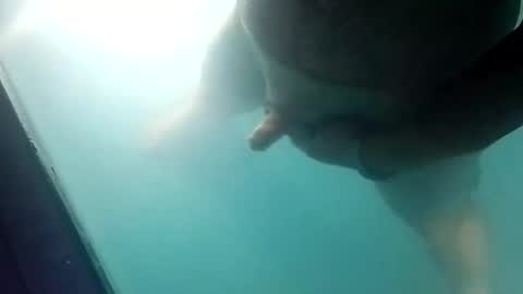 Uncut thick 5 online show from March 20, 11:59 am