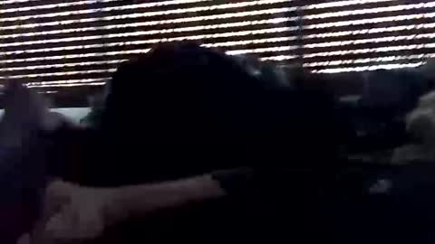 Snapshot of jf19861119 chatting on October 5, 5:33 pm jf19861119 online show from October 5, 5:33 pm