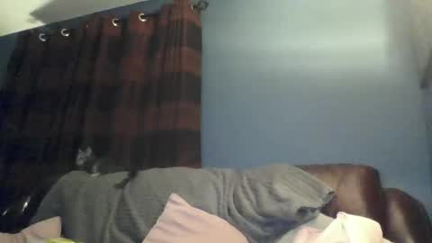 Snapshot of jilfyj chatting on March 15, 12:49 am jilfyj online show from March 15, 12:49 am