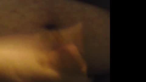 firejoepro2 online show from February 21, 6:25 am