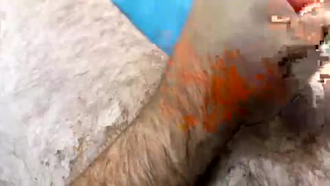 Snapshot of jkriss4545 chatting on September 27, 6:24 pm Jkriss online show from September 27, 6:24 pm