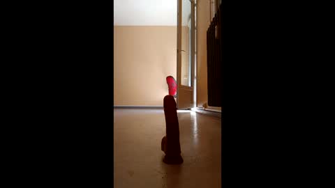 jobi88 online show from April 5, 11:51 am