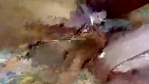 Snapshot of jogador956671 chatting on November 3, 11:59 pm jogador956671 online show from November 3, 11:59 pm