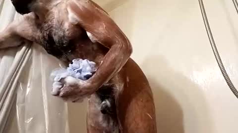 johenxxx online show from November 25, 8:58 am