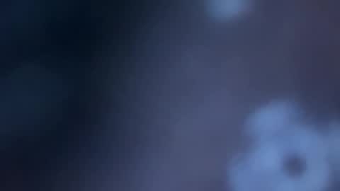 JOHN online show from November 14, 11:02 pm