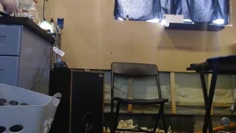 johnplayer23 online show from December 22, 4:59 pm