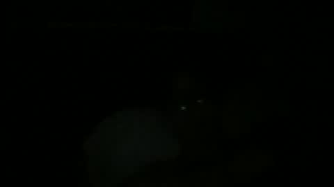 Snapshot of johnukber chatting on December 9, 12:45 am John Ukber online show from December 9, 12:45 am