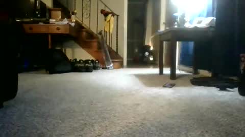 Johnynasty87 online show from June 7, 4:27 am