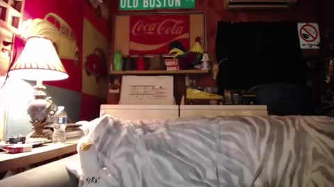 Johston online show from May 25, 1:44 am