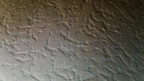 jojo811301 online show from January 9, 6:49 am