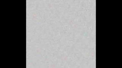 Jolene online show from February 2, 9:30 am