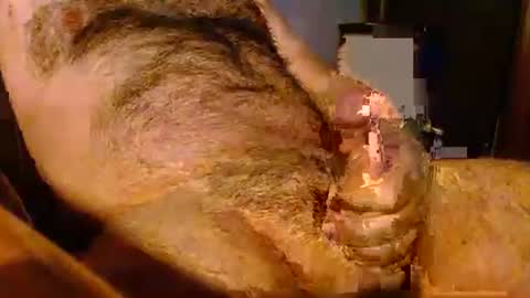 Snapshot of jolieeeeh chatting on November 28, 12:41 pm jolieeeeh online show from November 28, 12:41 pm