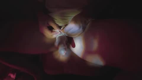 Snapshot of jonahshyfap chatting on January 9, 2:22 am jonahshyfap online show from January 9, 2:22 am