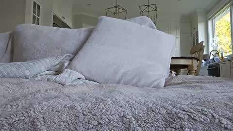 Snapshot of jonesy420xoo chatting on October 8, 11:24 pm jonesy420xoo online show from October 8, 11:24 pm