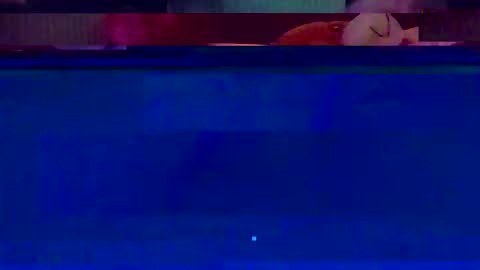 Snapshot of jooshi1981 chatting on February 12, 5:13 am jooshi1981 online show from February 12, 5:13 am