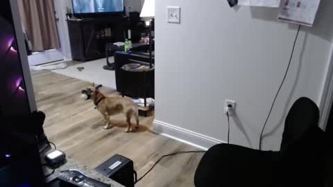 Josef online show from January 15, 2:05 am