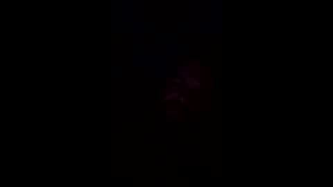 Snapshot of josephwalsh334 chatting on April 1, 7:31 am josephwalsh334 online show from April 1, 7:31 am