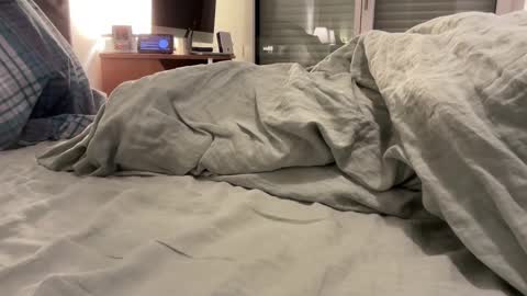 jpr07 online show from November 10, 5:50 am