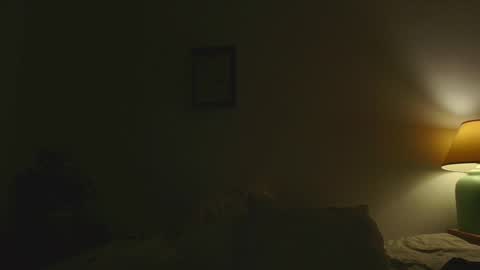 Snapshot of jsmine_ chatting on January 1, 8:13 am Jsmine and sometimes Beaulooks online show from January 1, 8:13 am