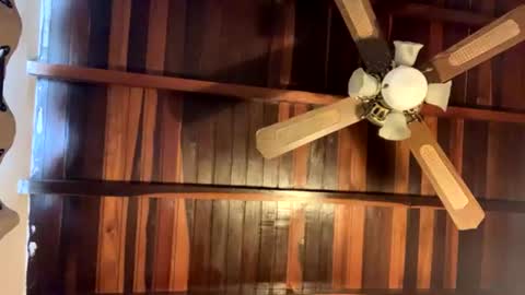 Snapshot of juan_bunny chatting on June 16, 7:38 pm lJuanl online show from June 16, 7:38 pm