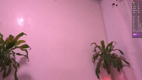 Snapshot of juice6abby9 chatting on May 15, 3:02 am Sisi online show from May 15, 3:02 am