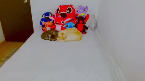  Juliana Torres  online show from February 25, 8:29 pm