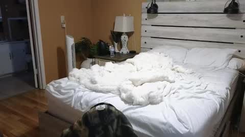 Snapshot of julianaxxxrose chatting on February 6, 2:53 pm Texas Mamasita online show from February 6, 2:53 pm