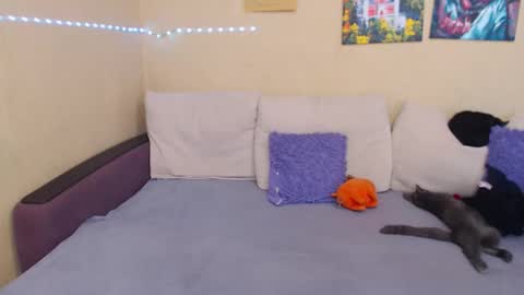 Jul online show from September 12, 2:06 pm