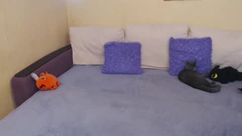 Jul online show from September 22, 3:03 pm