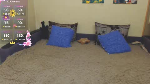 Jul online show from February 14, 3:20 pm