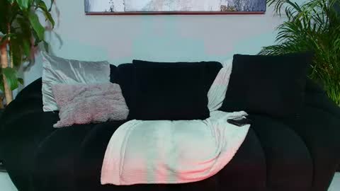 junniormontaner online show from February 23, 5:34 am