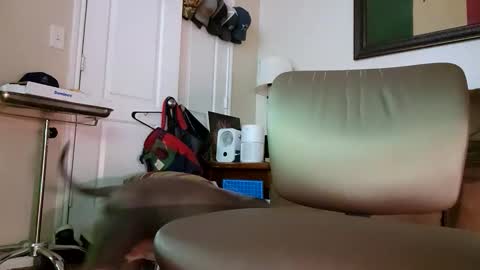 just4fun1523 online show from January 9, 2:14 am