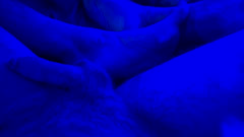 Yuri online show from January 14, 7:59 am