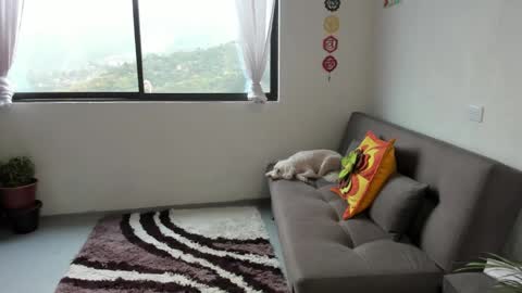 Snapshot of just_katiex chatting on March 7, 2:34 pm Sofia online show from March 7, 2:34 pm