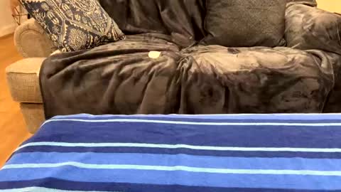 Snapshot of just_ur_avg_cpl chatting on February 17, 12:32 am justuravgdad  justuravgmom online show from February 17, 12:32 am