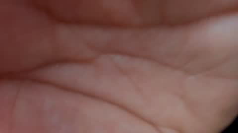 Layla online show from January 23, 10:32 am