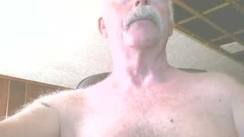 justdon online show from July 16, 2:34 pm
