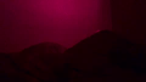 Call me Just online show from December 26, 12:38 pm