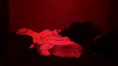 Call me Just online show from March 8, 2:19 pm