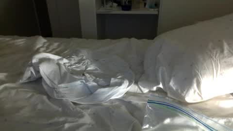 J and Sugar snap pea online show from January 23, 11:37 am