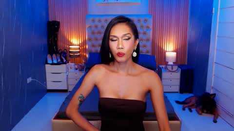 Snapshot of jynxocean chatting on November 15, 12:52 am Jynx online show from November 15, 12:52 am