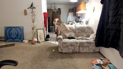 Kaiku77 online show from November 30, 5:44 am