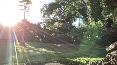 Snapshot of kaileeshy chatting on September 10, 3:28 am Kailee Smile online show from September 10, 3:28 am